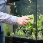 Male hand cleaning aquarium using microfiber towel.