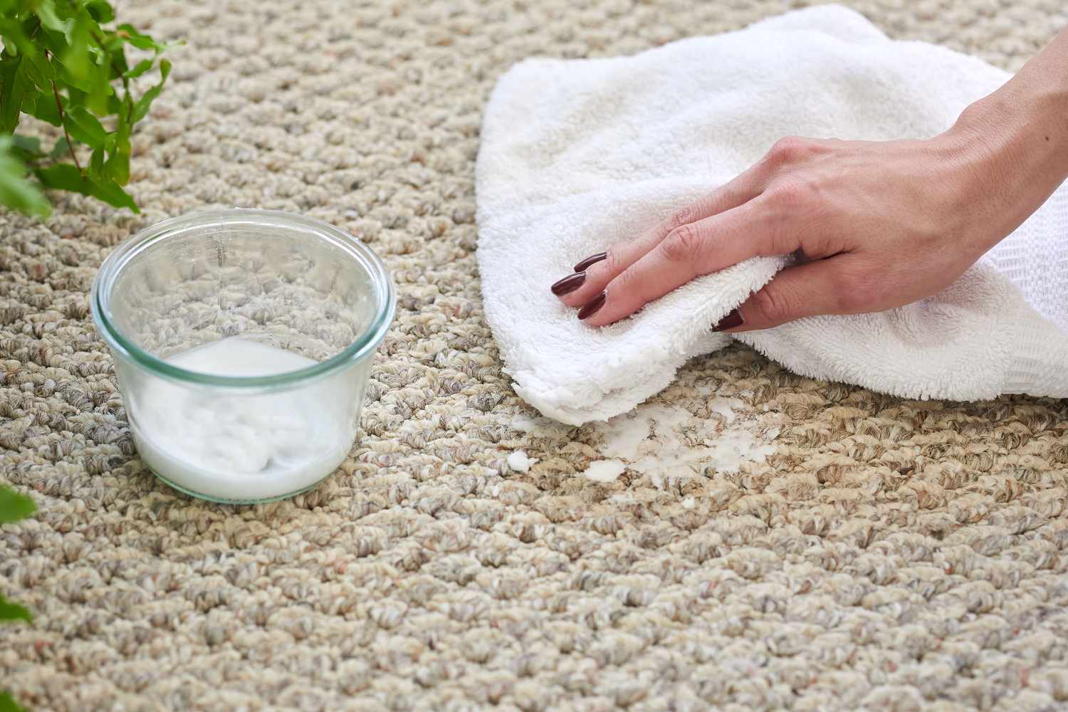 Gliceryna na stare plamy kawowe gliceryna na zaschniętą plamę kawową z delikatnej tkaniny