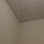 img-4821-sufit-w-pajeczynach