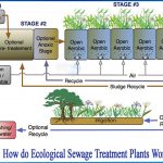 Oczyszczalnia biologiczna wykorzystuje naturalne procesy do oczyszczania ścieków