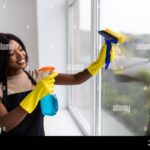 butelka-z-naturalnym-srodkiem-do-okien-1769179638