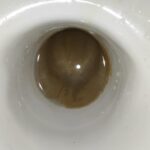 domestos czyści toaletę skutecznie