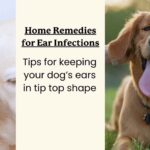 domowe-usuwanie-wosku-krok-1