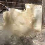 8924637h-sandblasting-old-brick-wall-1770653617