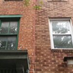 content-10-1770653625