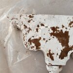 wood-soda-renovation-img-7193-1770654323