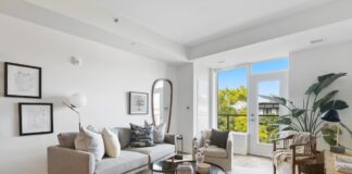 Lśniący dom na wiosnę: Informacje o pielęgnacji dywanów i poduszek dekoracyjnych dywany i poduszki sprzatanie